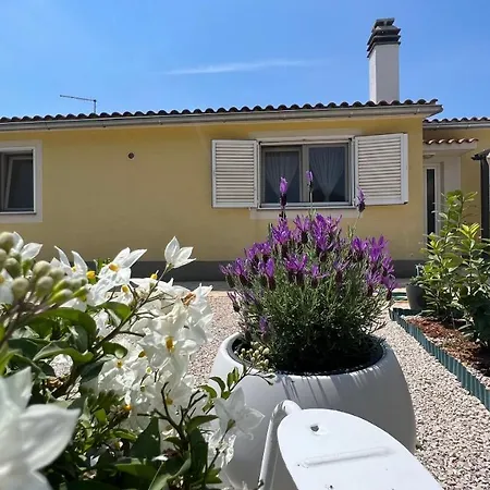 House Roca With Jacuzzi Vodice