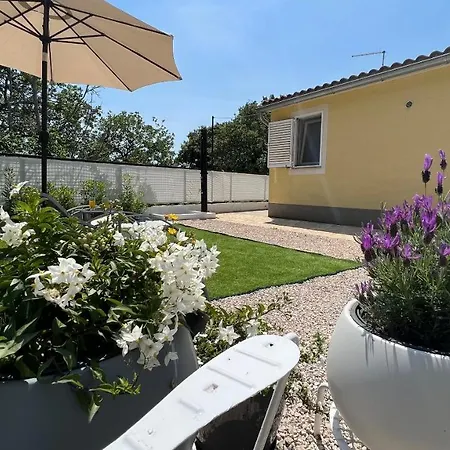 House Roca With Jacuzzi Vodice